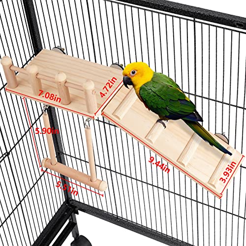 Bird Perches Platform Swing with Climbing Ladder