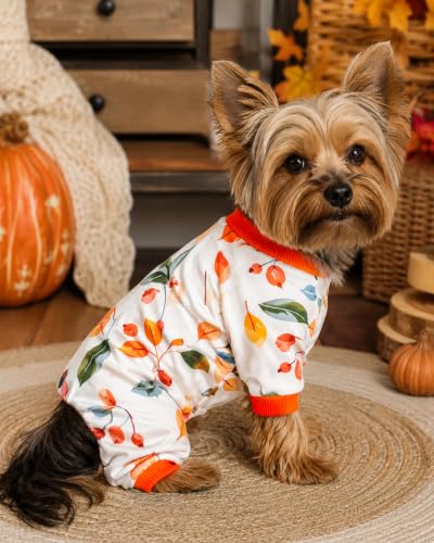 4 Pack Fall Hedgehog Dog Pajamas for Extra Small Doggies (X-Small)