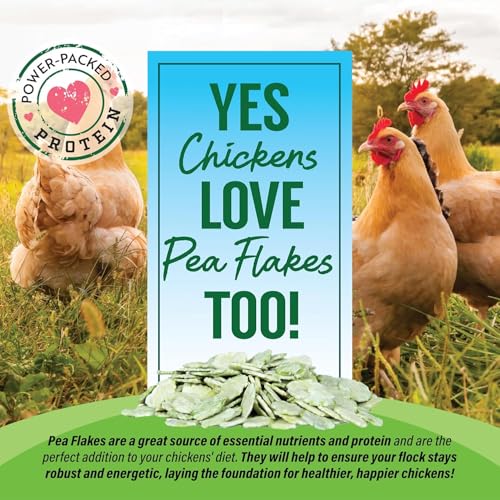 Pea Flakes Treats for Rabbit Bunny (3 Pound (Pack of 1))