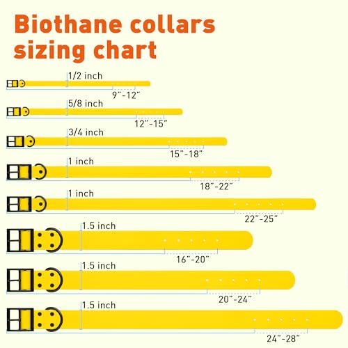 Biothane Waterproof Dog Collar Strong Coated Nylon Webbing with Black Hardware Odor (W1" x L22"-25" / Lemon Yellow)