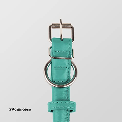 Tangle Free Rolled Leather Dog Collar (Mint Green Textured / XL)