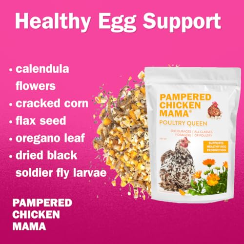 Mealworm Black Soldier Fly Larvae (10 pounds)