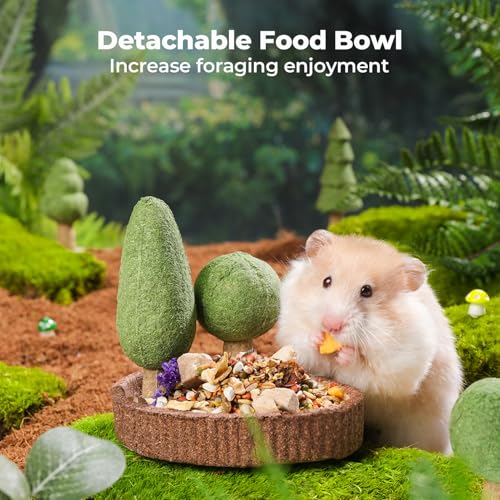 Hamster Chew Toys for Teeth