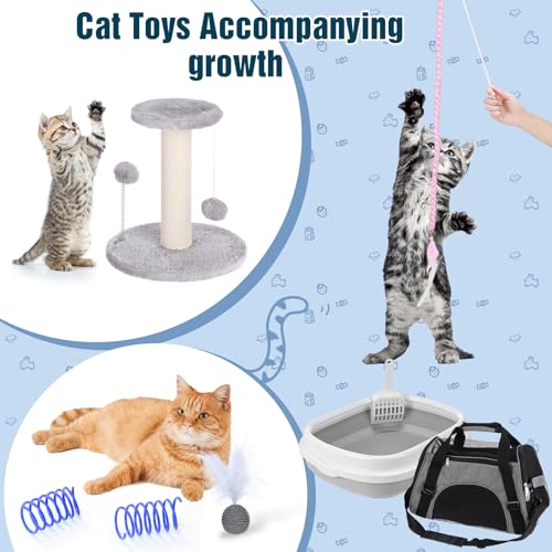 10 Pcs Kitten Starter Kit for Indoor (Cute / Medium / Gray)