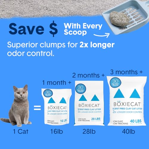 Boxie Premium Unscented Clumping Cat Litter 30+ Day Odor Control 16 lb (16 lb)
