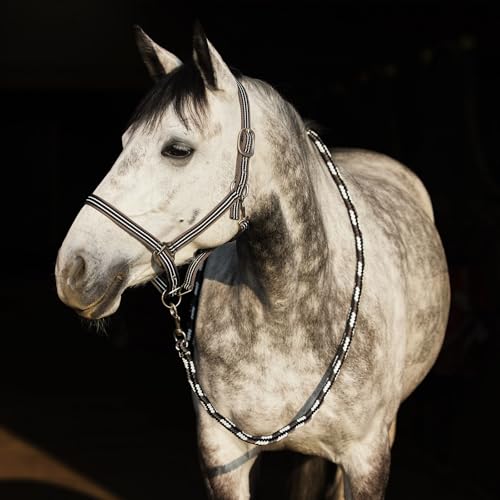 Adepto Adjustable Horse Halter (Dark Navy / Pony)