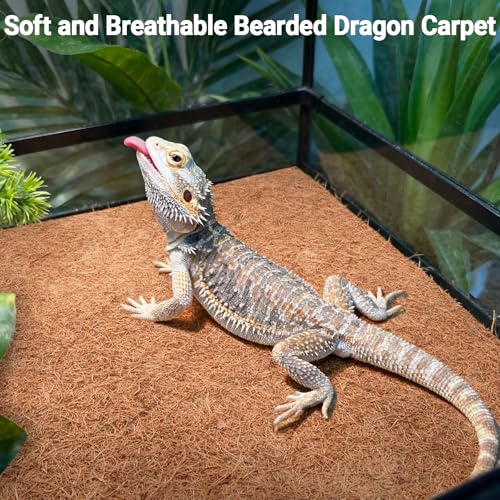 10 Pcs Reptile Carpet 12x12 Inch Coconut Fiber Mat for Tank Bedding (10 Pcs (12X12in))