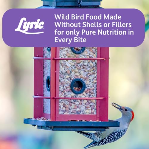 Delite Wild Bird Seed for Outside Feeders (20 Pound (Pack of 1))