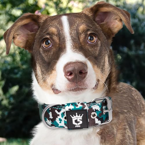 Heavy Duty Thick Dog Collar with Metal Buckle for Large Dogs (L – Fits Neck 18.9"-21.7" / Camo Cyan)