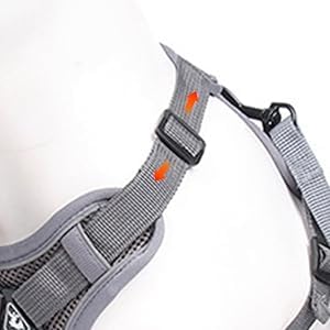 cat Chest Harness and Leash (grey / M:6.6-9.9lb)