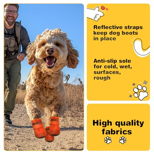 Dog Shoes for Dogs (Orange / Width 1.57 in)