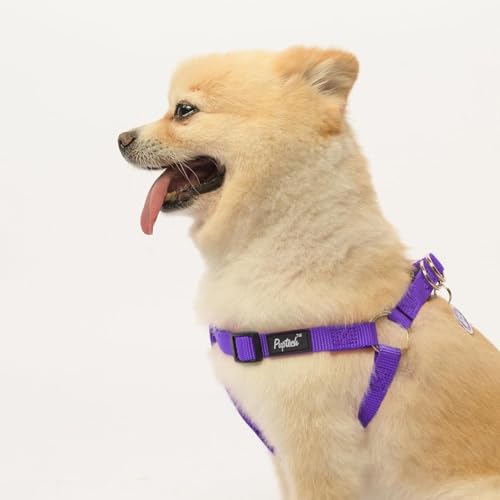 No Pull Dog Harness Small Sized Step (Purple / X-Small)