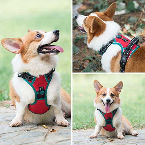Upgraded No Pull Dog Harness (Red / Medium)