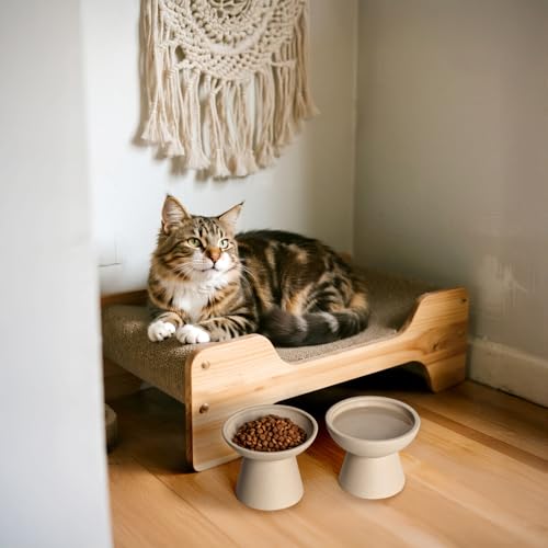 Extra Wide Elevated Ceramic 6.2" Shallow Cat Food Bowl (Pottery Clay-Shallow)