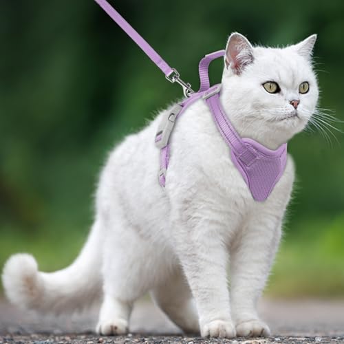 Cat Harness and Leash Set Escape Proof for Kitten Walking (Medium / Violet Purple)