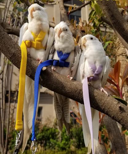 Pet Parrot Bird Harness Leash Adjustable Bird Flying Harness Traction Rope with Cute Wing for Parrots Pigeons Budgerigar Lovebird Cockatiel Mynah Outdoor Training Toy (S / Blue)
