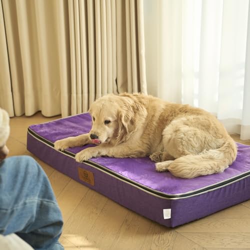 Orthopedic Memory Foam XXL Dog Bed (48.0"L x 30.0"W x 6.0"Th / Purple)