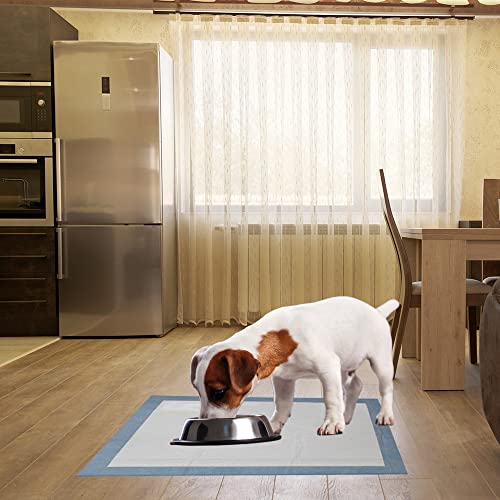 Puppy Pads XL 20 Count 34"x28" (XL / 20-Count (Standard))