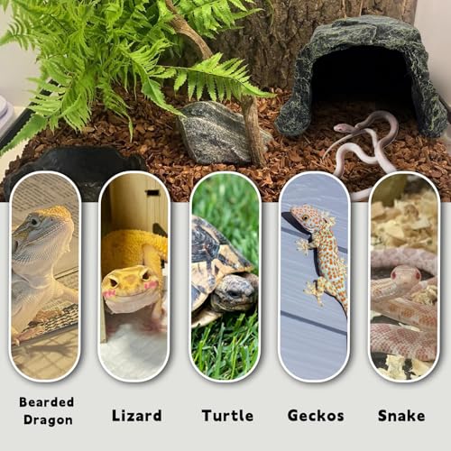 Reptile Hideout