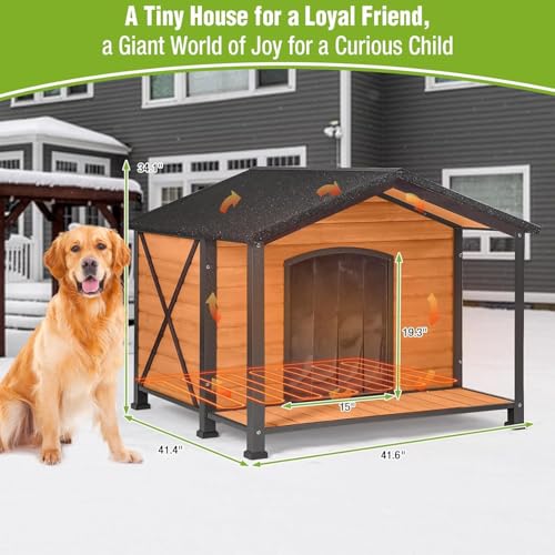 Dog House for Outdoor Use