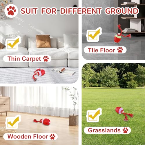 Interactive Dog Toy (Red / Medium/Large)