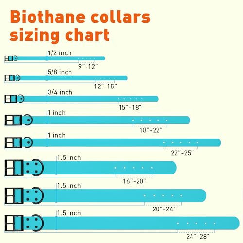 Biothane Waterproof Dog Collar Strong Coated Nylon Webbing with Black Hardware Odor (W1" x L22"-25" / Sky Blue)
