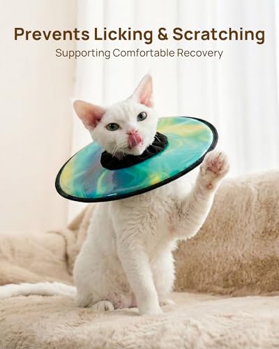 Soft Cat Cone Collar (Aurora Green / M)