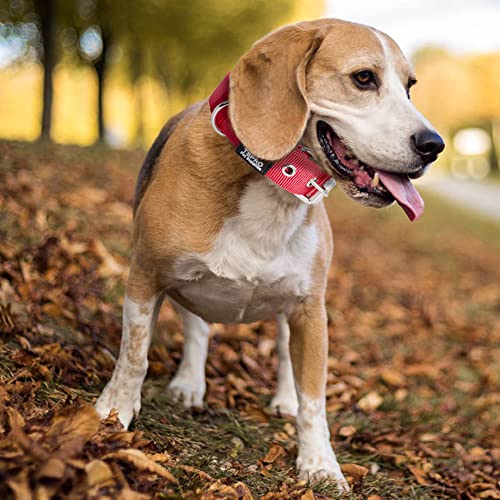 Heavy Duty Thick Dog Collar with Metal Buckle for Small Dogs (S – Fits Neck 12.6"-15.8" / Basic Yellow)