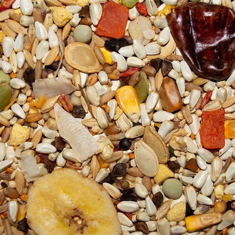 Seed Avian Science Super Hookbill Bird Food 4lb (4 Pound (Pack of 1))