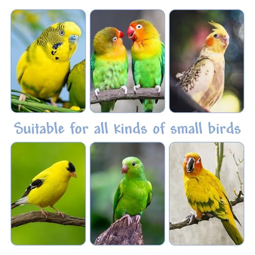 Parrot Cage Perches Stand Pole Parakeet Paw Grinding Stick Colorful Wood Perch Platform for Parakeets Cockatiels Lovebirds Green Cheeked Conures