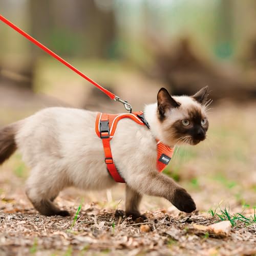 Cat Harness and Leash for Walking Escape Proof Soft Adjustable Cat Leash Breathable Comfortable Vest Easy to Wear Kitten Harness for Outdoor Travel (Orange / Small)