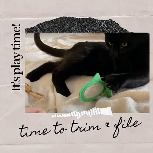 Cat Scratcher Toy