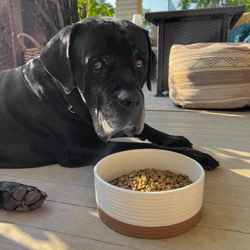 Ceramic Pet Bowl (Large / Vanilla White)
