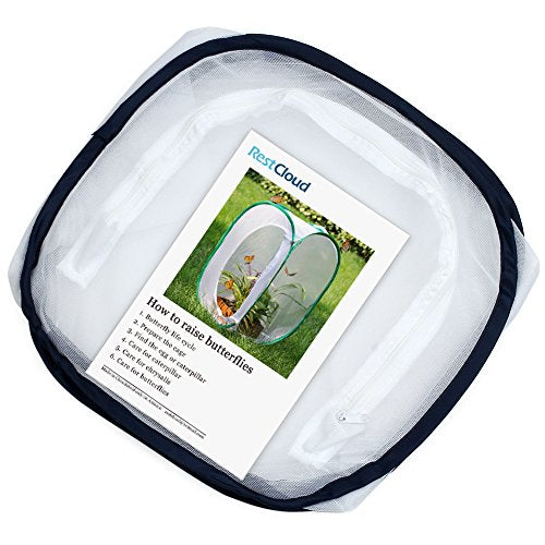 Insect and Butterfly Habitat Cage Terrarium Pop (White With Black / 12 x 12 x 12 inches)