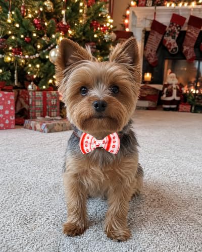 10 Pack Christmas Dog Bowties for Small Dogs Sliding on Collar (S/M)