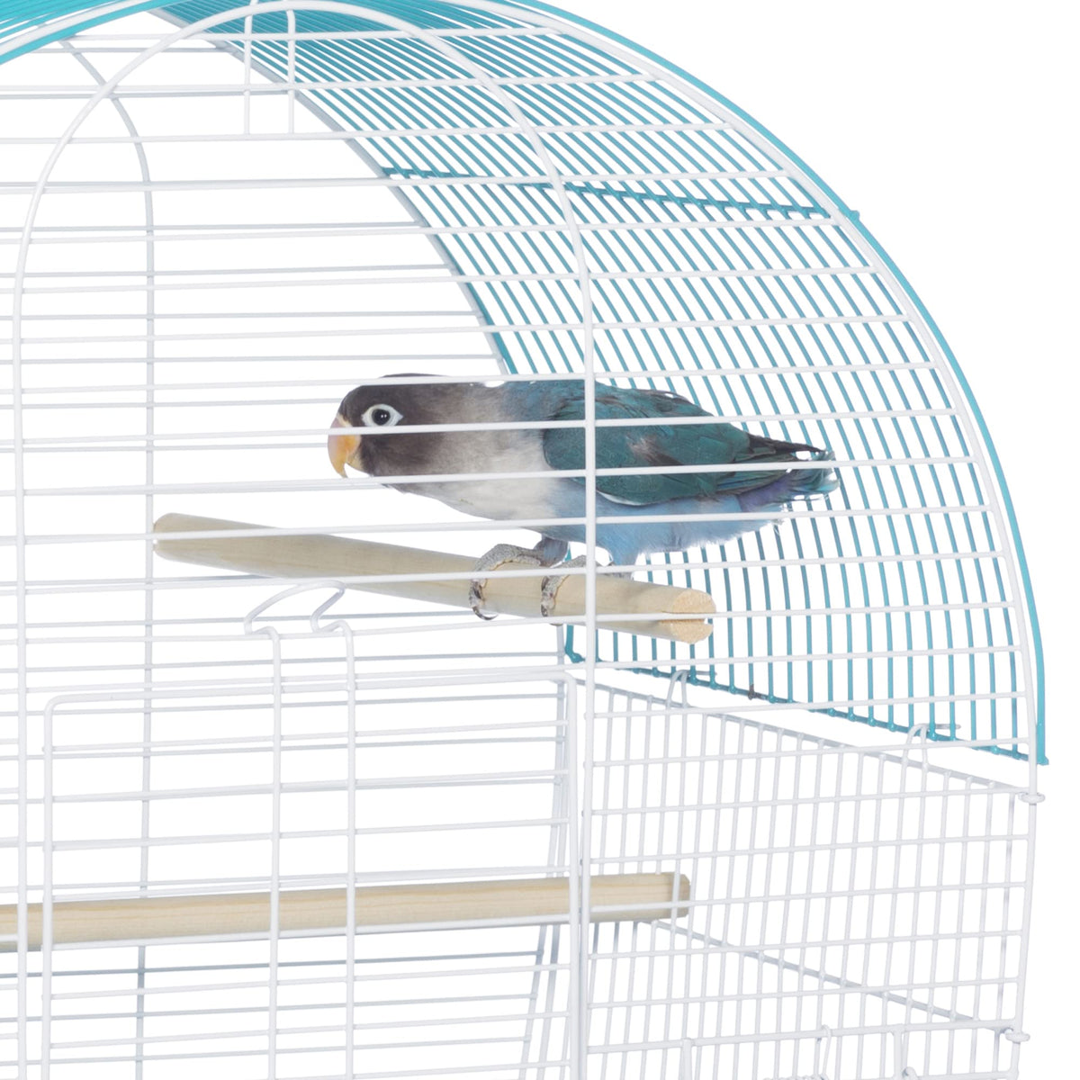 South Beach Dome Top Bird Cage (Dome - Teal / 10.6"L x 0.6"W x 18.1"H)