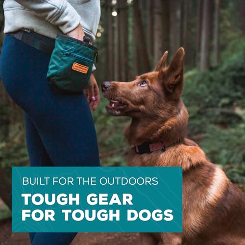 Dog Training Treat Pouch with Magnetic and Zipper Closure (Black)