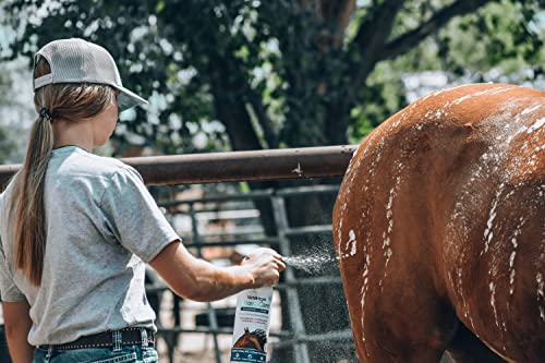 FoamCare Horse Shampoo (Shamoo + Shine)