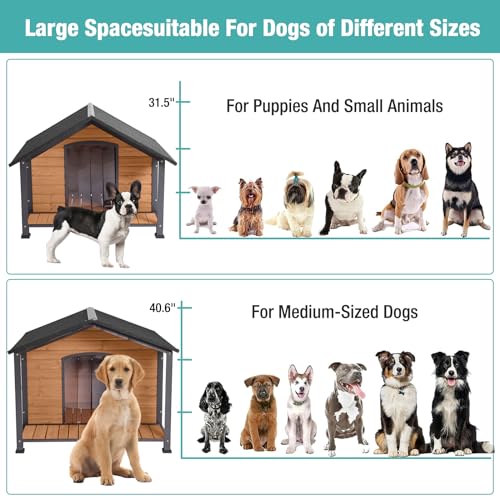 Outdoor Dog House (L)