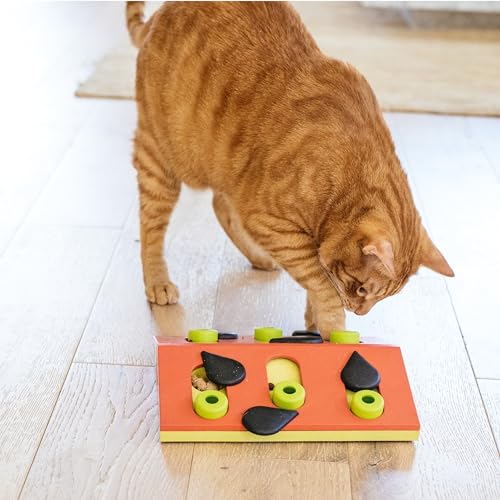 Nina Ottosson Melon Madness Puzzle & Play Cat Toy