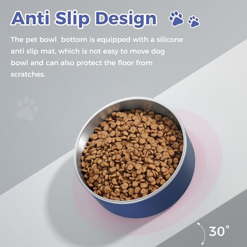Dog Bowl Stainless Steel Food and Water Bowl (40 oz / Blue)