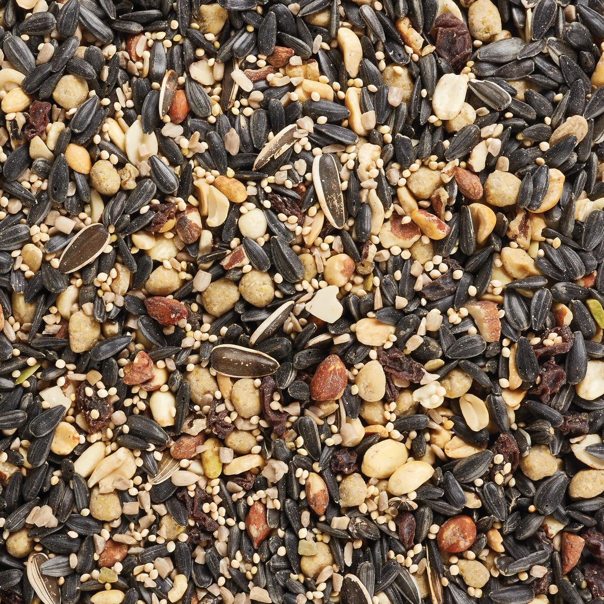 Wild Bird Food (Fall Migration)