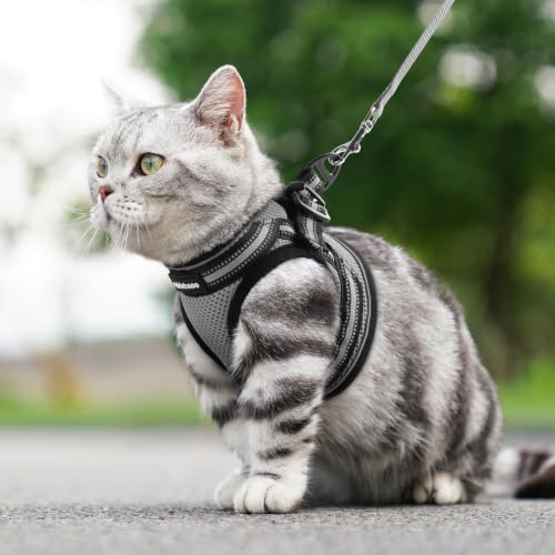 Cat Harness and Leash Set (S / Grey)