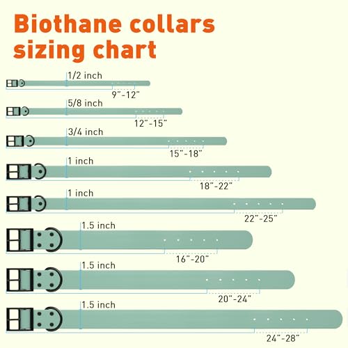 Biothane Waterproof Dog Collar Strong Coated Nylon Webbing with Black Hardware Odor (W1.5" x L24"-28" / Sage Green)