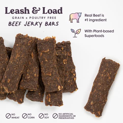 Beef Jerky Dog Training Treats (5 Ounce)