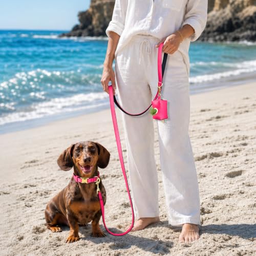 Soft Padded Dog Collar for Small Dogs (Neon Pink / S:Fit 10-15" Neck, Width ⅝")
