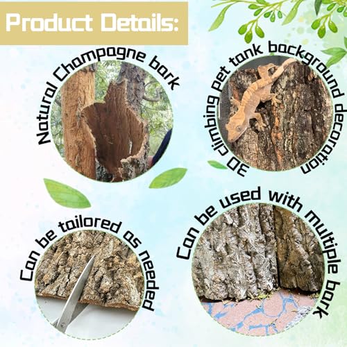 8PCS Cork Terrarium Background 15.7x11.8in Natural Large Cork Bark Backdrop Reptile Climbing Mat Tank Habitat Decor for Spider Lizard Chamelon Turtle Beared Dragon (8PCS-15.7x11.8in)