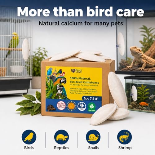7.5 8" Cuttlebone for Birds (6 Count (Pack of 1))