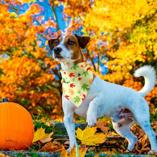 50 Pcs Thanksgiving Fall Dog Bandanas Bulk Pumpkin Maple Leaves Autumn Bandanas for Bibs Adjustable Scarf for Small Medium Large Pet Cat Costume (Leaves Pattern / 19.7 x 13.8 x 13.8 Inch)