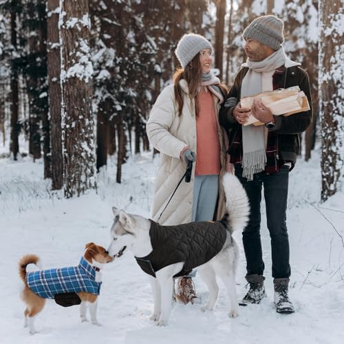 Waterproof Dog Coat (Blue / 3X-Large (Pack of 1))